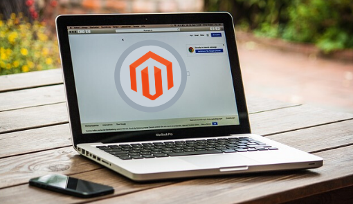 Magento Developers